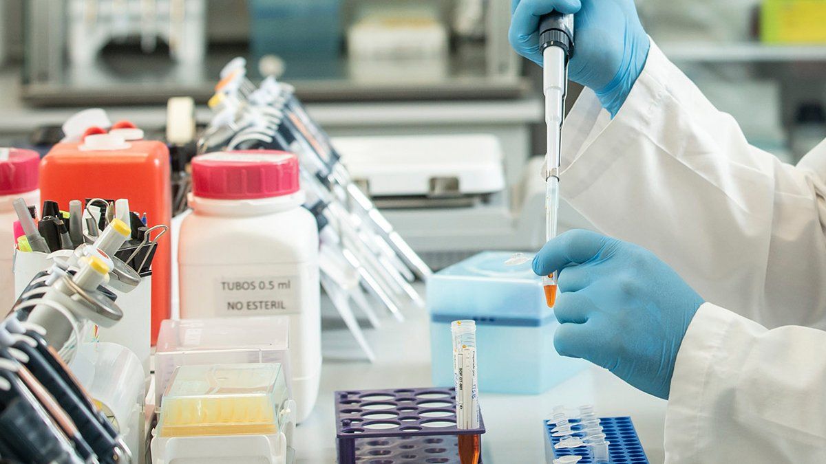 Suero equino hiperinmune: Argentina logró el primer tratamiento contra el Covid para pacientes moderados a severos