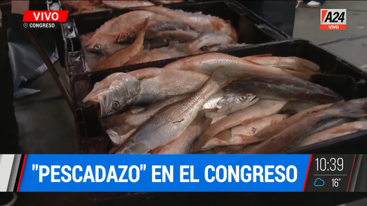 Primer Pescadazo: se vende a $100 el kilo, en el Congreso