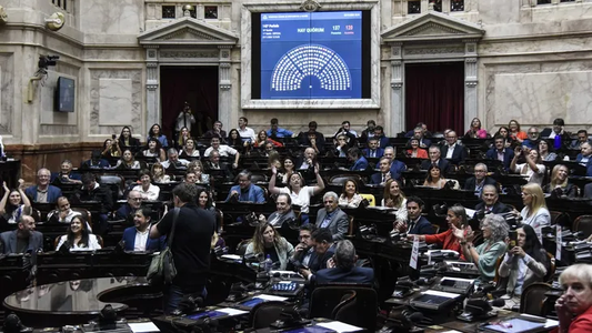 La Cámara de Diputados rechazó los vetos a la Emergencia Pediátrica y al Financiamiento Universitario