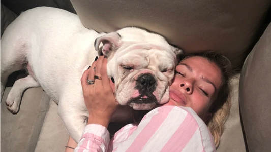 La tristeza de la China Suárez tras la muerte de su perra: Escribo para no morir en el dolor