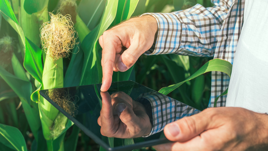 ¿Está listo el AgTech para expandir las fronteras de la producción de alimentos?