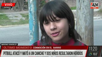 Un pitbull mató a un caniche y atacó a una nena de 11 años: Necesito superar la muerte de Max