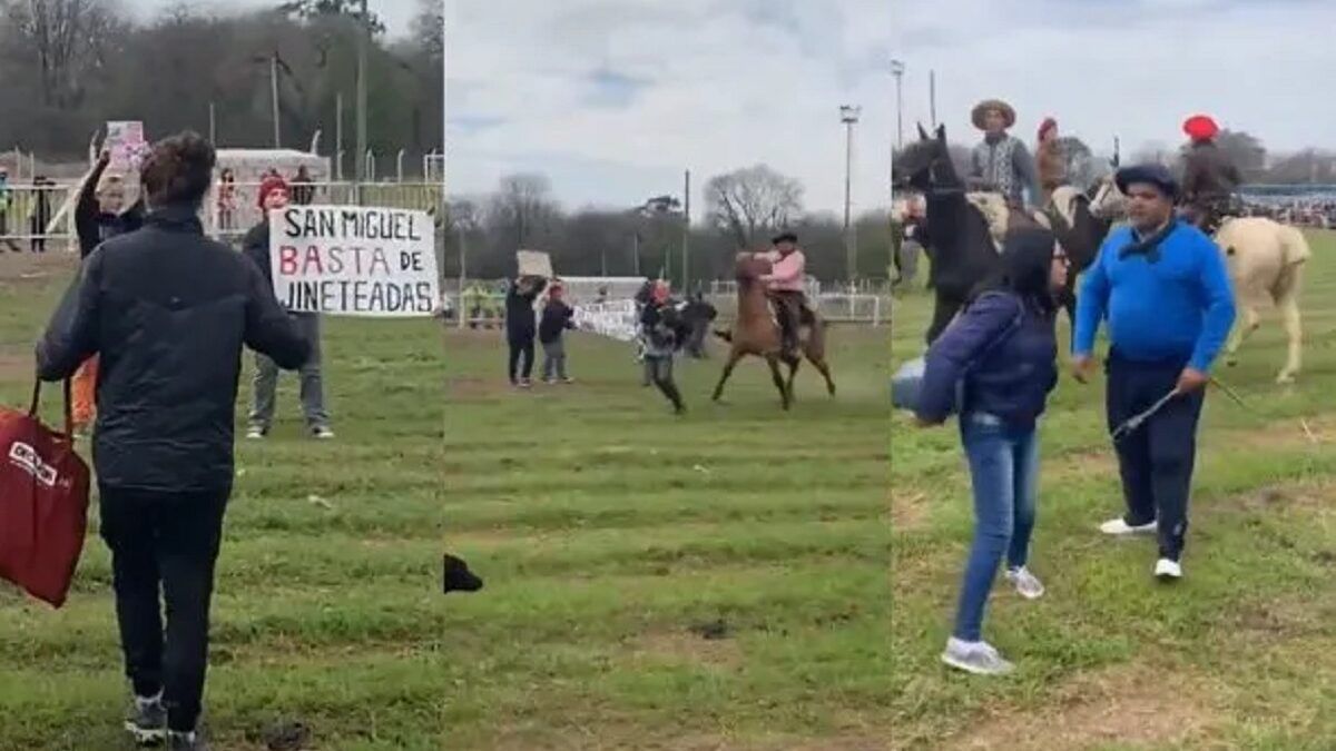 Las imágenes del ataque a las proteccionistas (Foto: La Brújula 24).