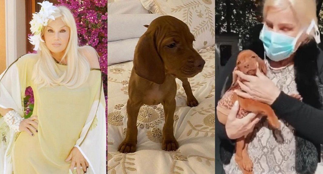 Susana tras las críticas que recibió por su perrita Rita: “Estoy harta de que digan estupideces, me pone bastante mal”