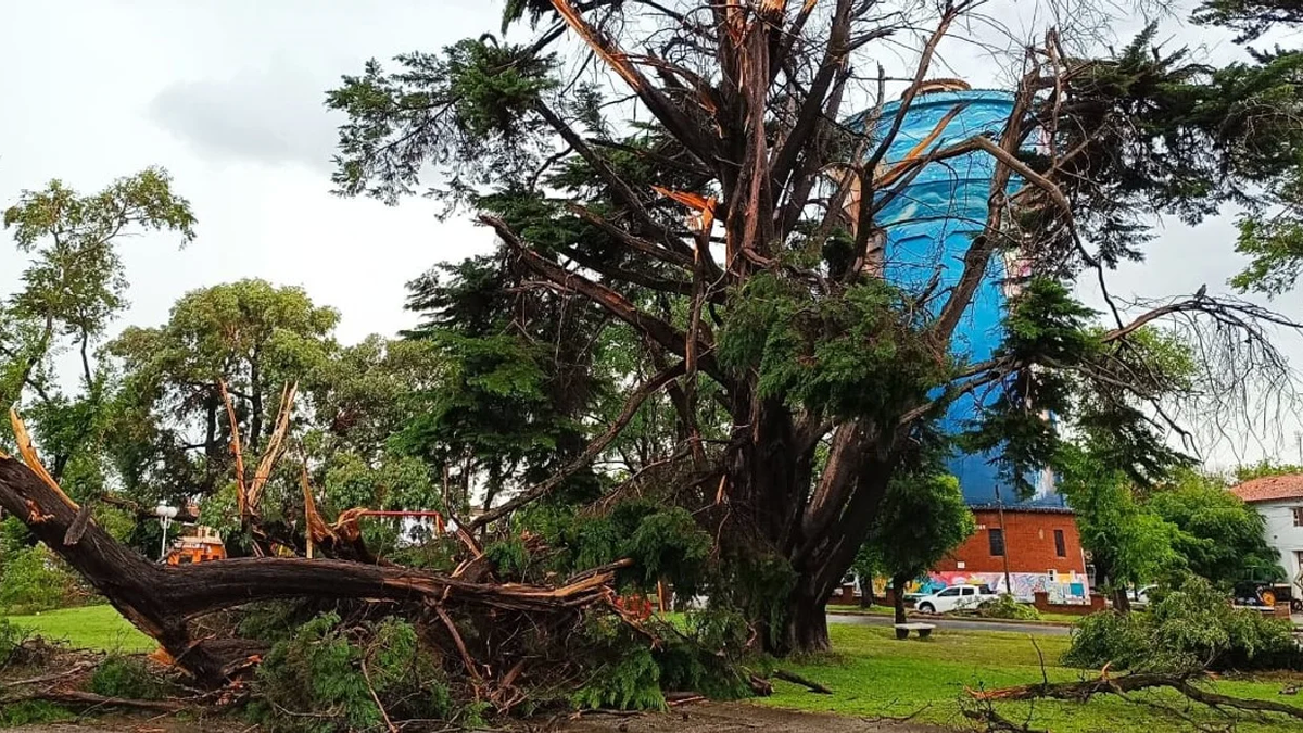 &nbsp;Secuelas del temporal en Miramar. (Foto: NA)