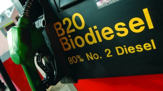 El Gobierno duplicó las retenciones al biodiésel y llegan al 15%