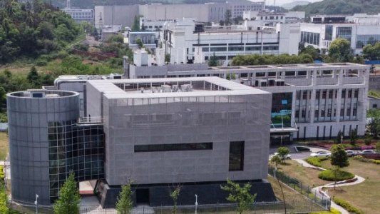 En medio de sospechas y acusaciones, el laboratorio de Wuhan niega ser responsable por el inicio de la pandemia
