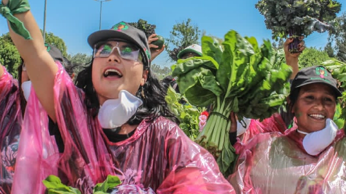 Agroecología: Las tierras que cultiva Nelly Almeida hasta hace un tiempo estaban en manos de Arauco
