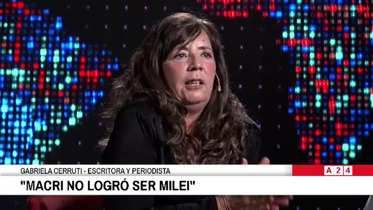 Gabriela Cerruti estuvo de invitada en el programa Entrevista de Luis Novaresio. (Foto: captura).