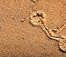 ¿Un Nazca argentino? Investigan una formación extraña a 3.000 metros de altura en el corazón de los Andes