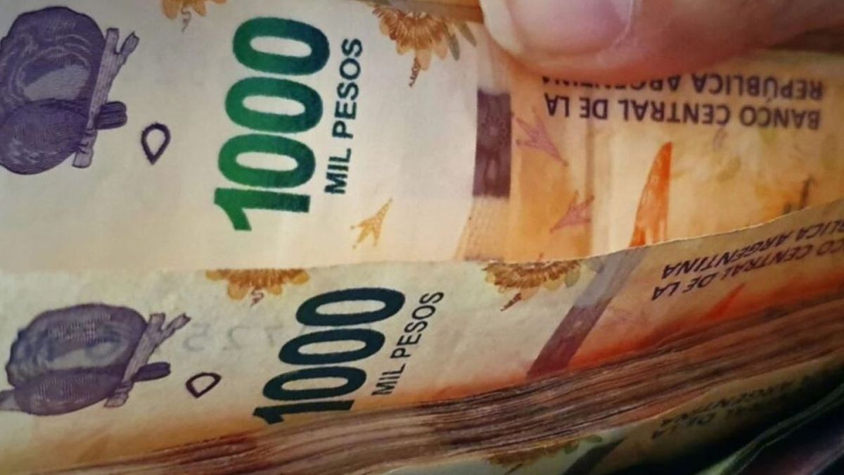 PLAZO FIJO en la era Milei: cuánto gano depositando $200 mil por mes con la nueva tasa (Foto: archivo).