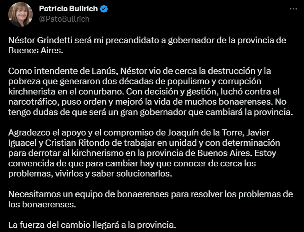 Patricia Bullrich Eligió A Néstor Grindetti Como Su Precandidato A ...