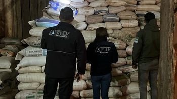 Incautaron récord de soja ilegal en el norte del país