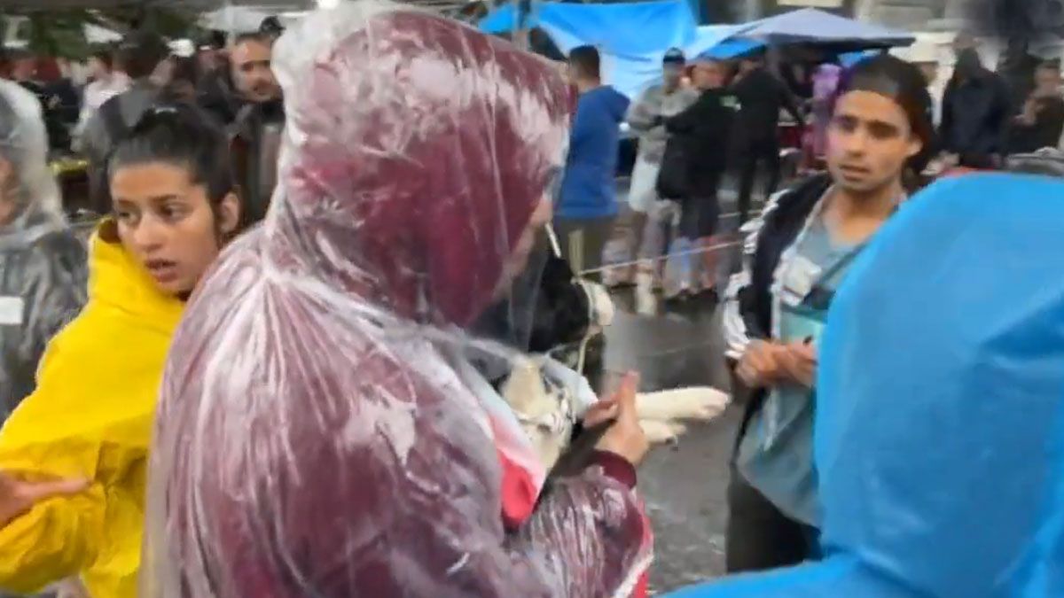 un hombre lleva a una mascota rescatada para que sea examinada y alimentada. (foto: Captura de TV)