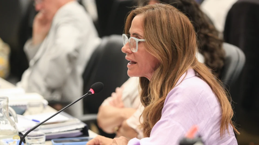 Diputados de Unión por la Patria presentaron un proyecto para que sea ley el programa Compra sin Iva