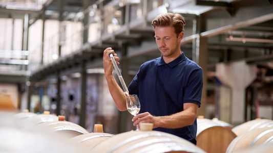 Economías regionales: las bodegas pidieron su dólar malbec pero el Gobierno marca las diferencias con la soja