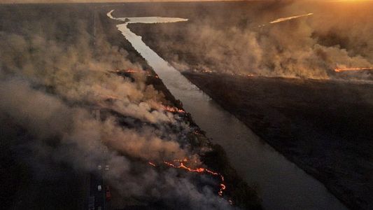 Incendios en el Delta del Paraná: Alberto Fernández aseguró que el Gobierno no va a permanecer pasivo