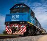 Privatización del Belgrano Cargas: el Gobierno abrió la licitación y concesionará tres líneas por 50 años
