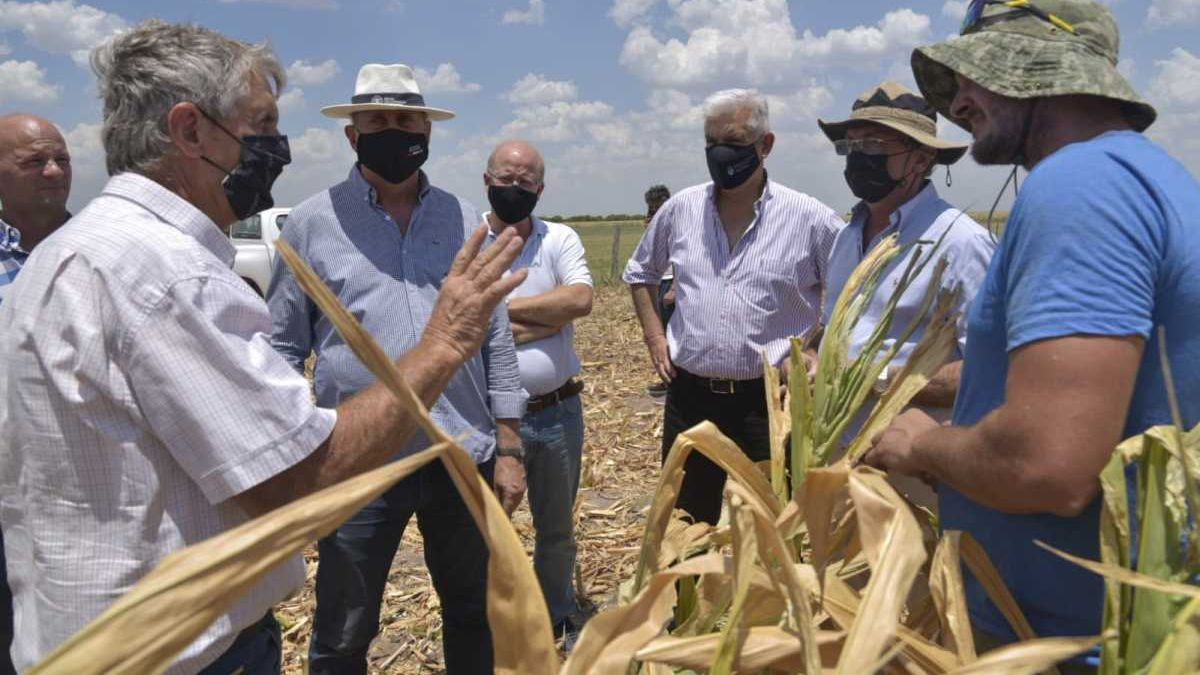 Recorrido de Julián Domínguez en los campos afectados por la sequía (Crédito: Noticias Argentinas).