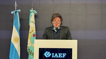 Cris, tomá nota: Milei le dedicó su discurso en el IAEF a la expresidenta