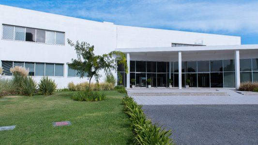 Bioceres dará un salto en la siembra de su soja tolerante a la sequía: apunta a un crecimiento de área del 570 por ciento