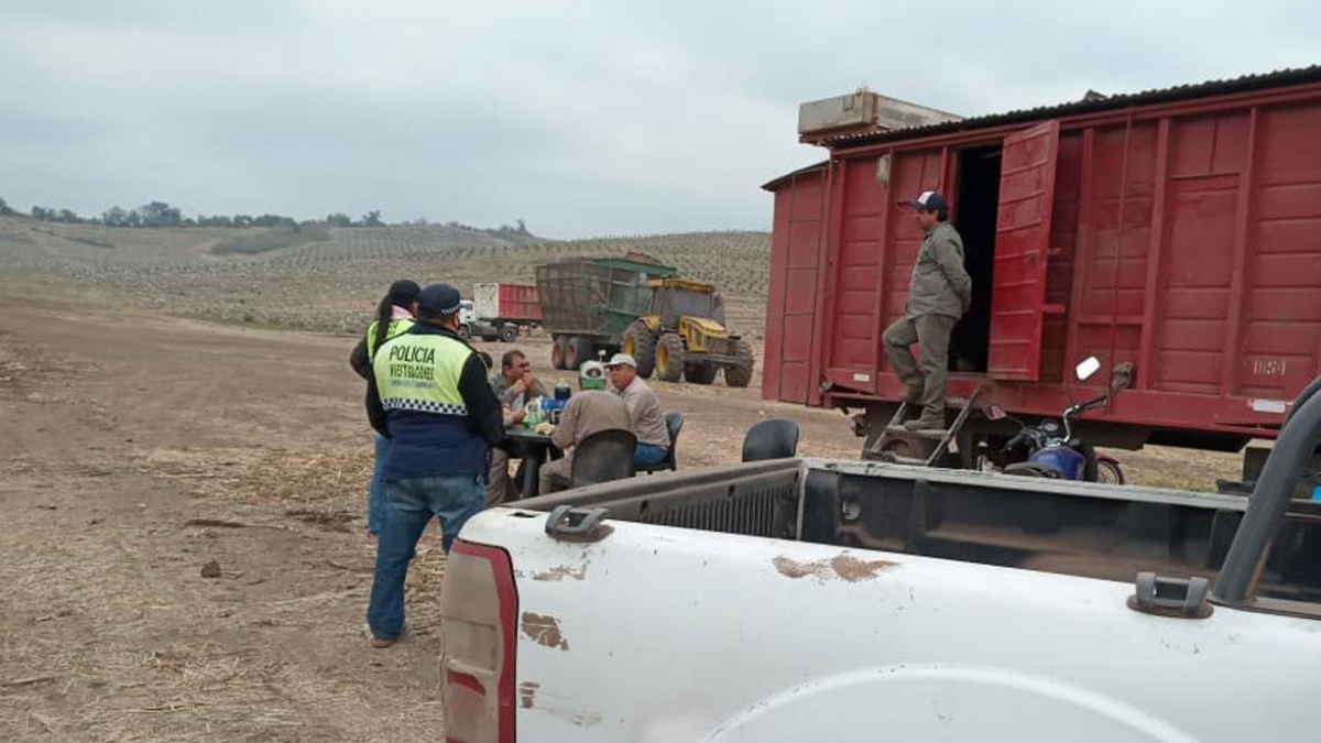 Por mano propia: productores de Tucumán se organizan para desalojar tomas de campos