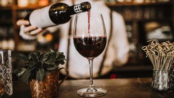 Vino: ¿Se le puede poner hielo para enfriarlo?