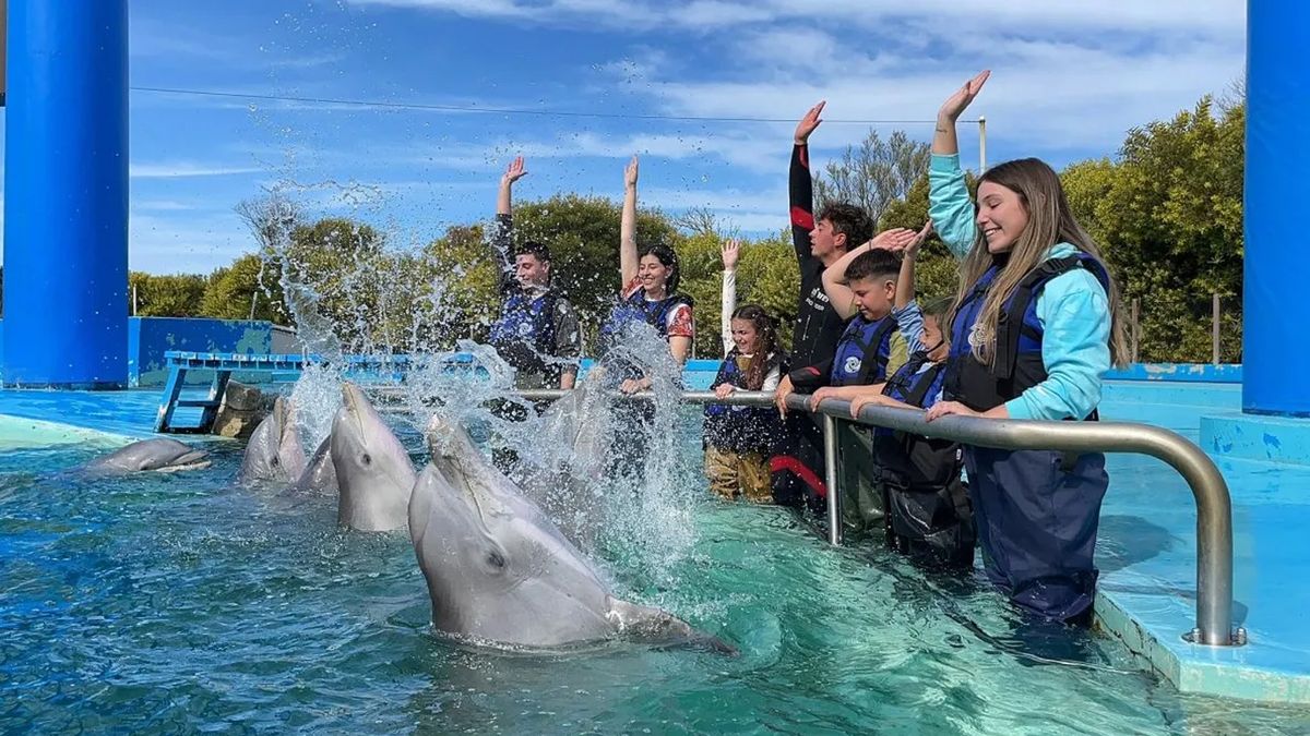 Dictaron la quiebra del Aquarium de Mar del Plata: qué pasará con sus 66 animales