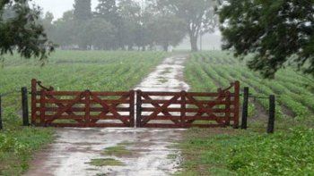 ¿Agrodólares a salvo? Estiman que las lluvias no provocaron grandes pérdidas