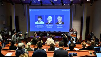 Nobel de Medicina 2026: el avance científico que cambió para siempre la investigación del cerebro