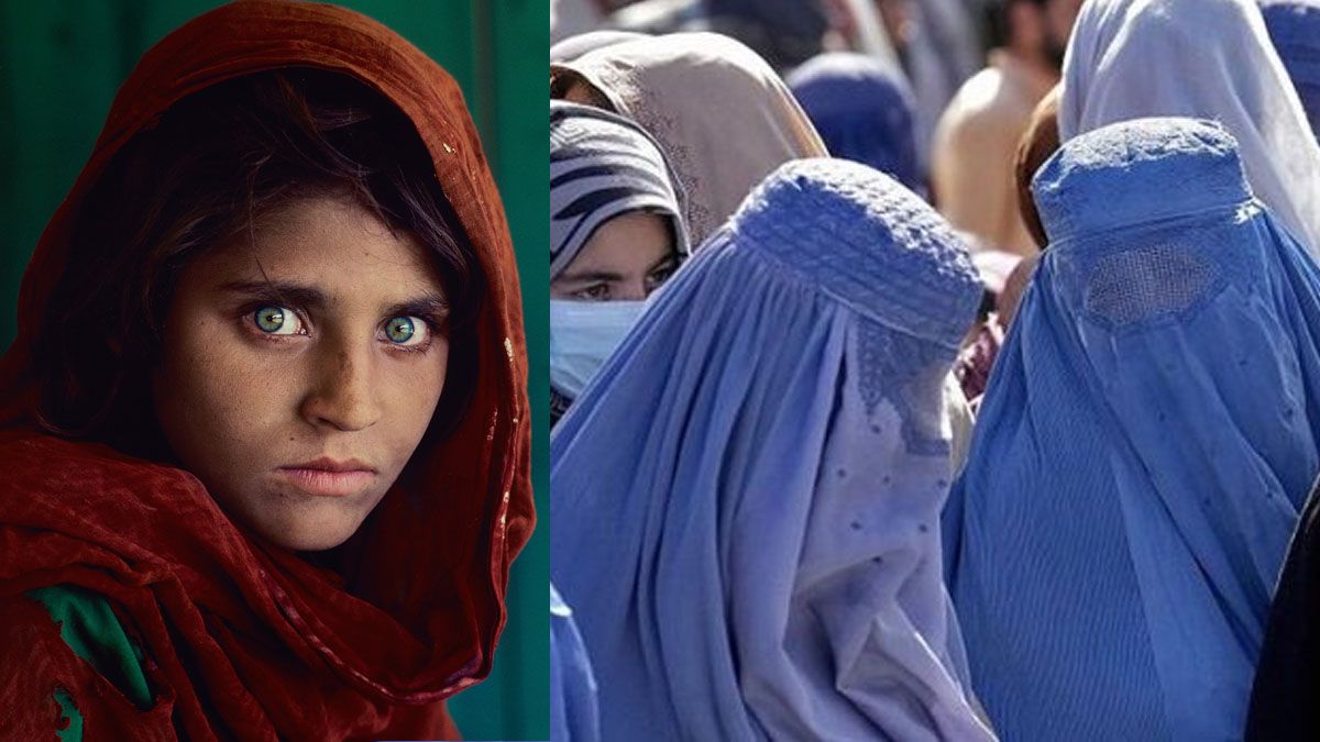 Sharbat Gula