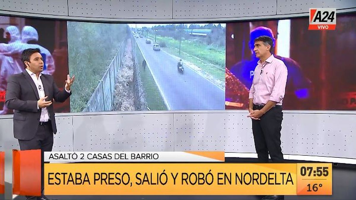 Salió de la cárcel y fue a robar dos casas en Nordelta. (Captura de Tv)