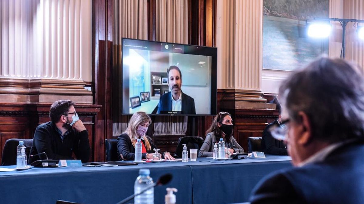 El representante de Pfizer en la Argentina expuso en diputados.