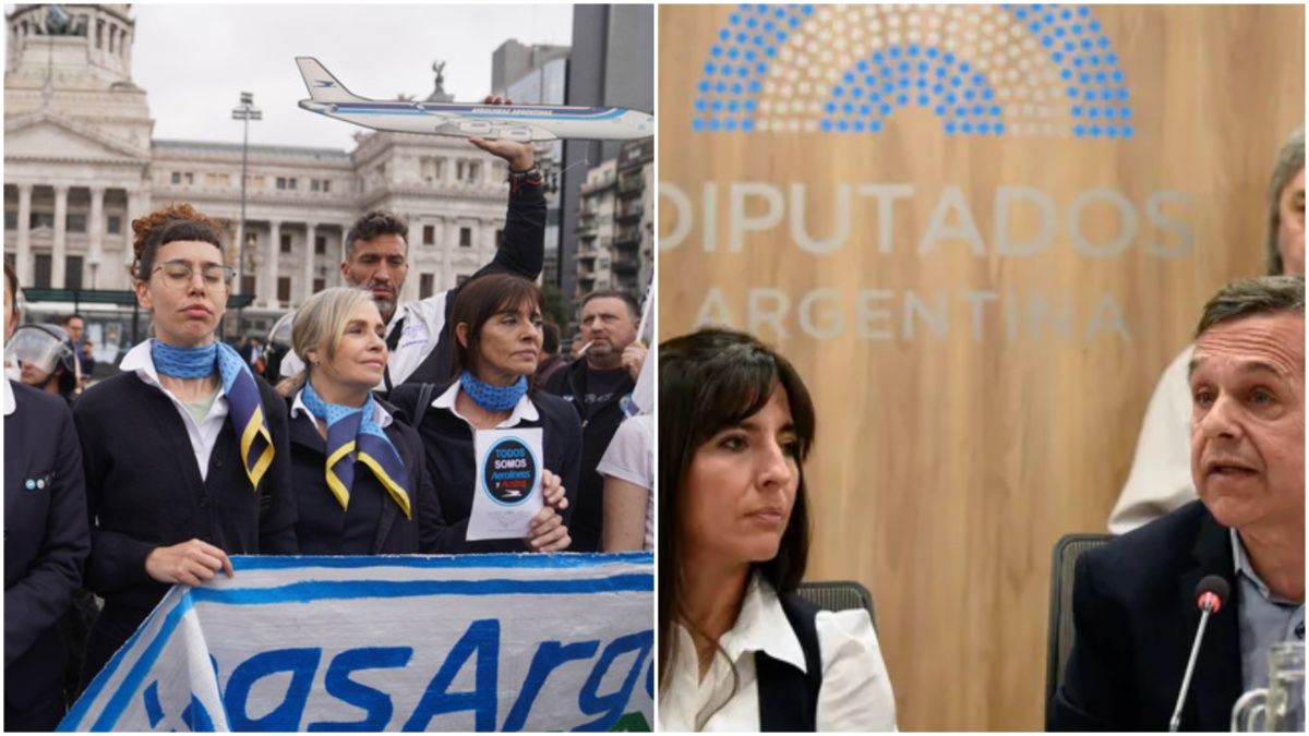 Mientras se debate la privatización de Aerolíneas Argentinas en Diputados