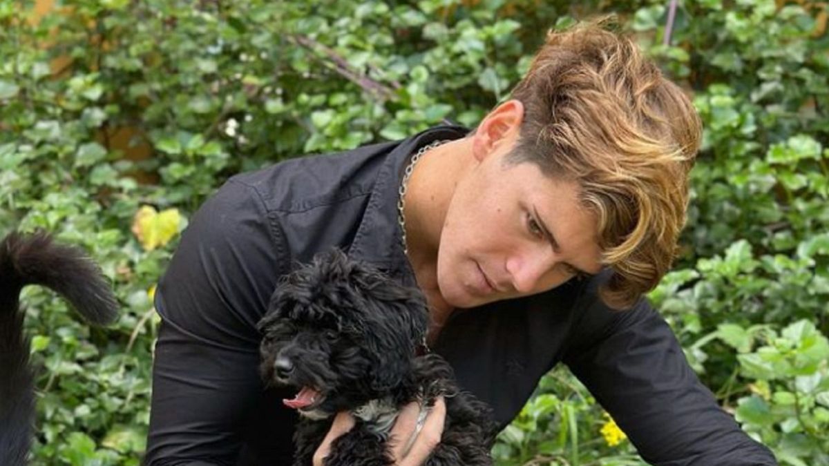 Marcos Ginocchio compartió un video sobre cómo está Mora después de Gran Hermano