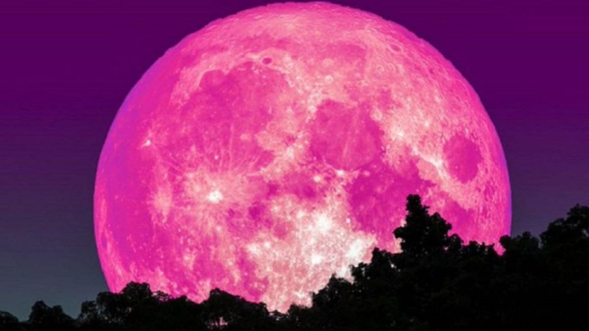 NASA Superluna rosa 2020 EN VIVO cómo y dónde ver la luna llena de
