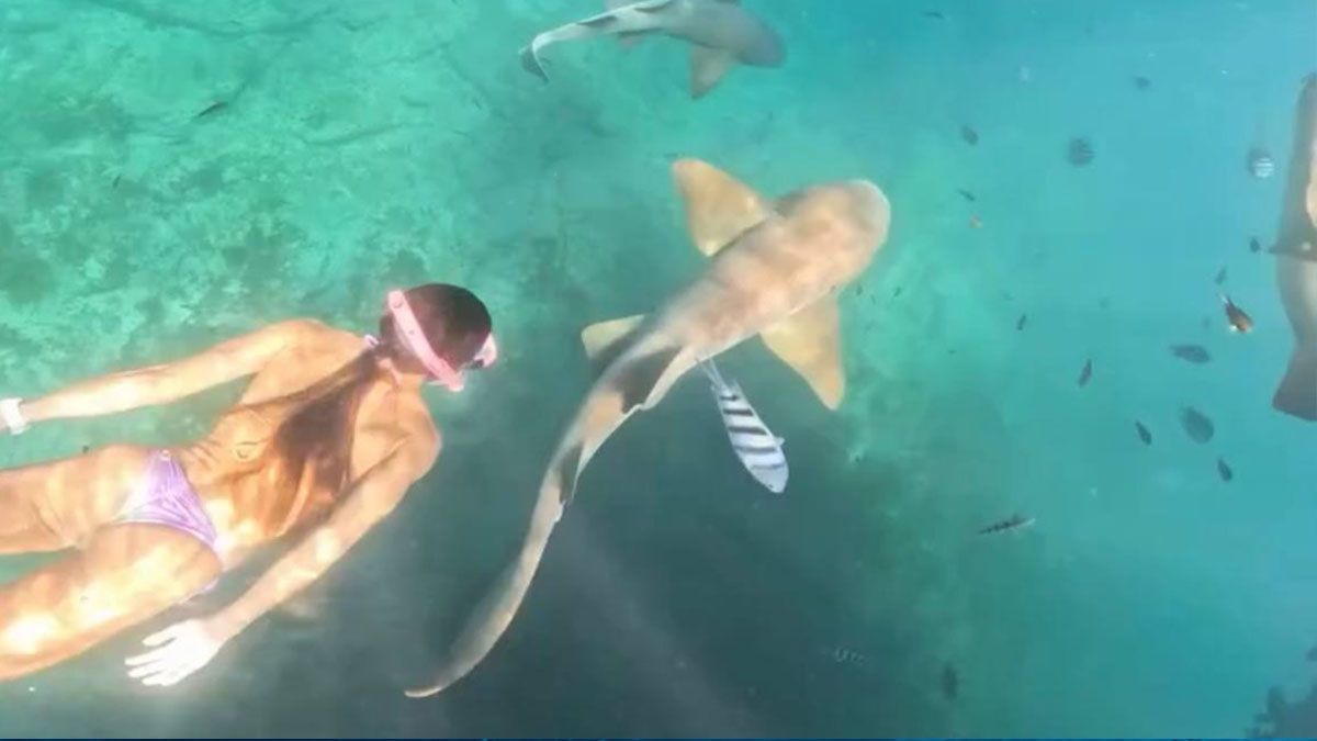 Antes de la tragedia. La mujer con snorkel nos junto al tiburón. (Foto: Captura de TV)