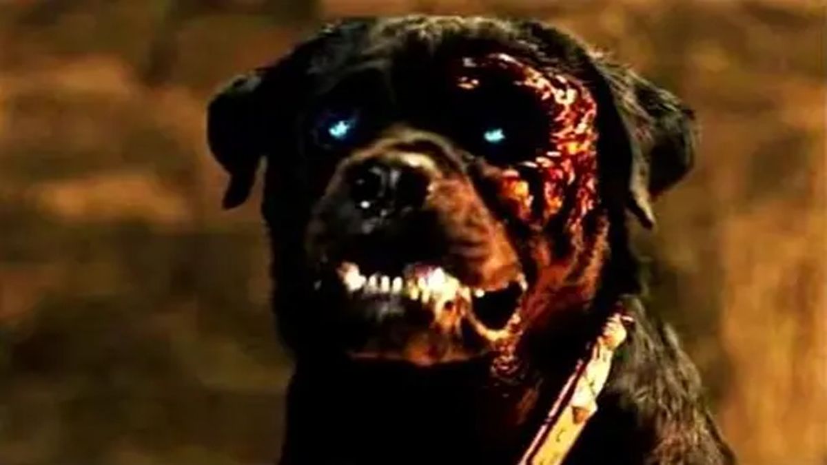 Paranormal: Preocupación en Salta por un perro endemoniado