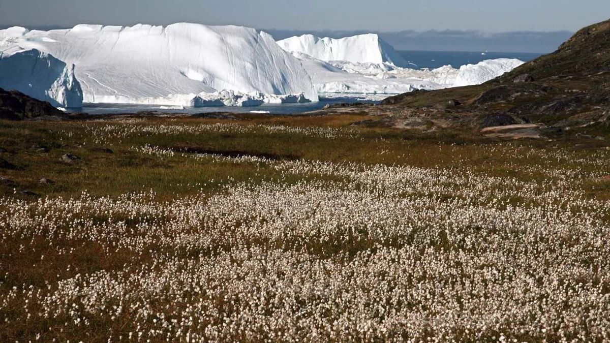 En &aacute;reas de Groenlandia donde antes predominaba el hielo y la nieve, ahora se observan rocas &aacute;ridas, as&iacute; como humedales y zonas de arbustos. (Foto: archivo)