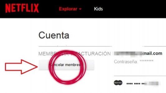 Netflix: ¿Cómo dar de baja el servicio?