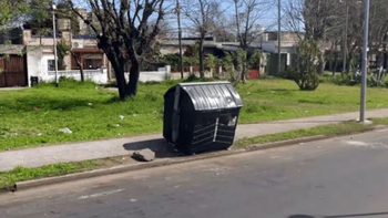 Horror en Avellaneda: 6 fetos dentro de un contenedor y detalles macabros