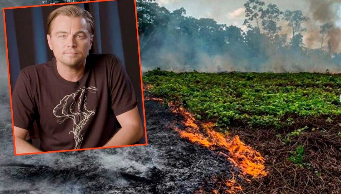 Leonardo Di Caprio donó 5 millones de dólares para salvar la Amazonas