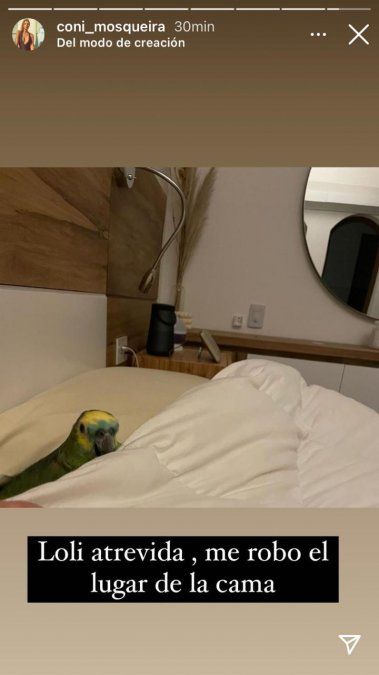 Los mensajes de la novia de Fantino