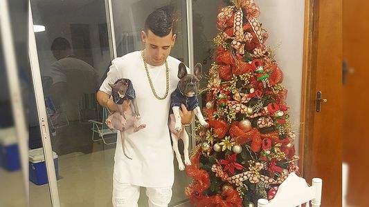 Carmiña Masi quiere un gato igual al de Camarasa