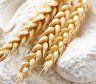 ¿Se cae el fondo del trigo creado por Roberto Feletti?: la gran mayoría de los molinos ratificó su rechazo a participar