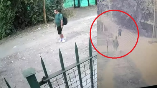 Caminaba al trabajo y fue emboscado por un ladrón: el video del brutal ataque con una piedra