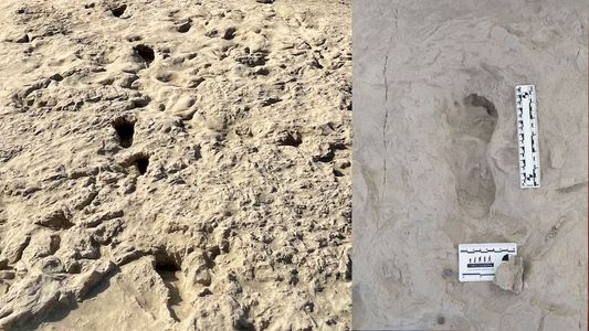Unas huellas halladas en África podrían cambiar el origen de la humanidad tal como la conocemos
