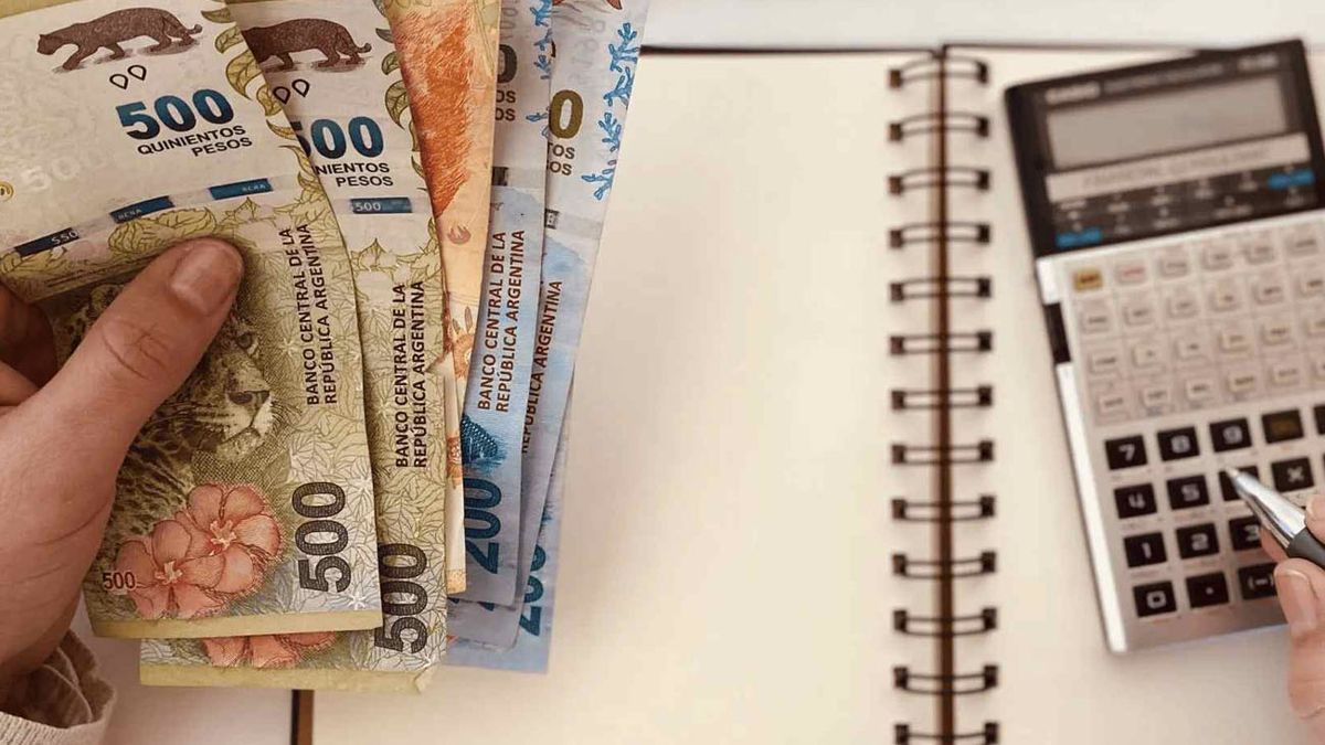 NUEVA TASA de interés para el PLAZO FIJO: cuánto gano depositando $325 mil (Foto: archivo).