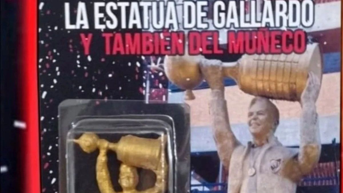 Marcelo Gallardo&nbsp;
