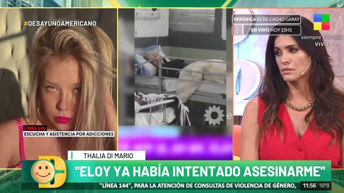 Las duras declaraciones de Thalia, la ex de Eloy Rivera: Ha intentado  asesinarme en varias ocasiones